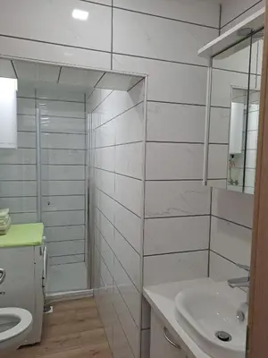 a bathroom with a shower and a sink and a toilet at Apartment Danica in Kranjska Gora