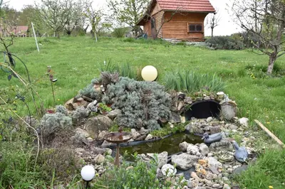 a garden with a house in the background at Apartment in Grabrovec - Koroska Unterkärnten 44968 in Metlika