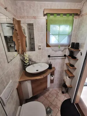a bathroom with a sink and a toilet and a mirror at Cosy Retreat Čatež in Čatež ob Savi