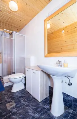 a bathroom with a white sink and a toilet at Holiday Home Kersnik in Bohinj