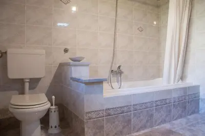a bathroom with a toilet and a bath tub at Apartments Ivančič in Kobarid