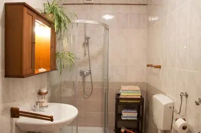 a bathroom with a shower and a sink and a toilet at Apartments Ivančič in Kobarid