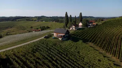 an aerial view of a vineyard and a house on a hill at Hisa Vukan - Eco House in middle of vineyard with Sauna! in Miklavž pri Ormožu