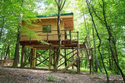 a tree house in the middle of the woods at Living Forest Resort in Moravske Toplice