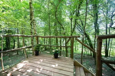 a wooden walkway in the woods with flowers on it at Living Forest Resort in Moravske Toplice