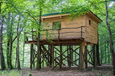 a tree house in the middle of the woods at Living Forest Resort in Moravske Toplice