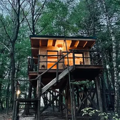 Living Forest Resort
