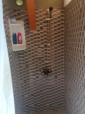 a shower in a bathroom with a tiled wall at Hiška Zeleni raj in Podnart
