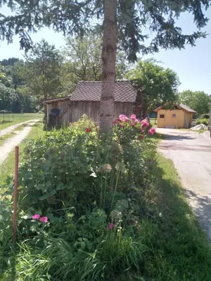 a flower garden around a tree in front of a building at Hiška Zeleni raj in Podnart