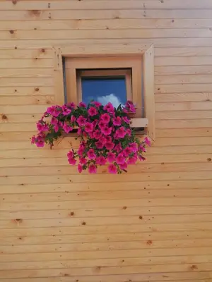 a window with pink flowers on a wooden wall at Hiška Zeleni raj in Podnart