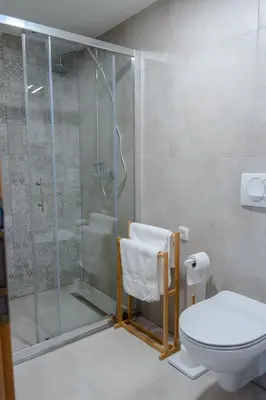 a bathroom with a shower and a toilet at Apartment TRG in Brežice