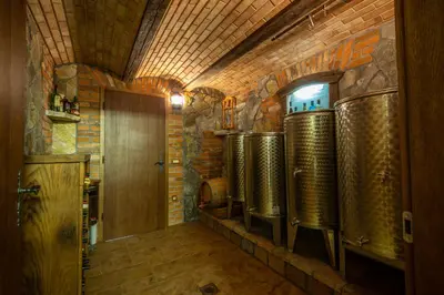a wine tasting room with a brick wall at Vineyard cottage Jelenov hrib in Smarjeske Toplice