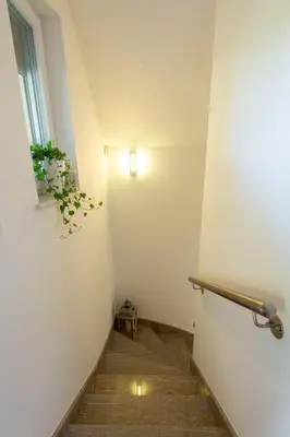 a stairway with a plant on the wall and a window at Vineyard cottage Jelenov hrib in Smarjeske Toplice