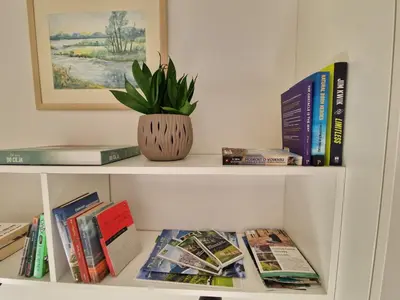a book shelf with books and a potted plant at Holiday home Melisa in Mozirje