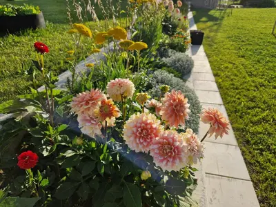 a row of flowers in a garden at Holiday home Melisa in Mozirje