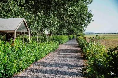 a gravel path in a field next to a barn at BIG BERRY Kolpa - Isabella Premium House in Gradac