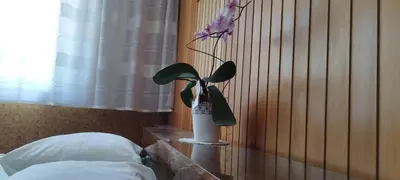 a vase of flowers on a table in a bedroom at 7 Flower Street Apartment in Šempeter pri Gorici