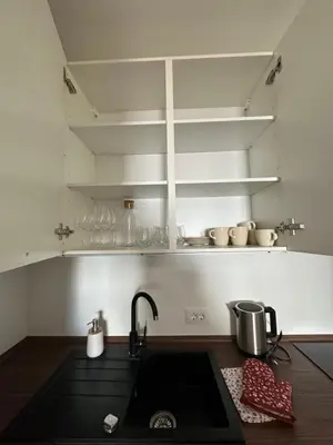 a kitchen with a sink and some shelves at Granny's Vintage Chic in Maribor