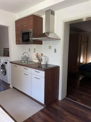 a kitchen with a sink and a stove at Apartma FIREFLY2 in Ljubljana