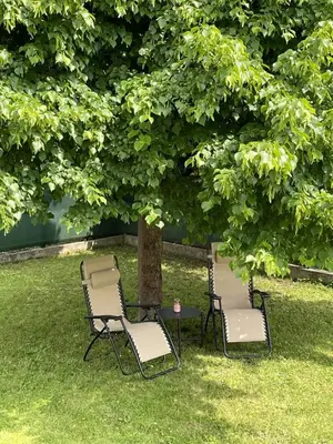 three chairs and a table under a tree at Apartma FIREFLY2 in Ljubljana