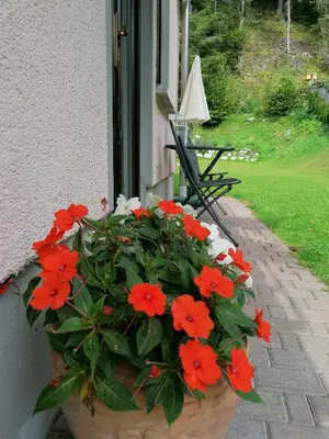 a pot of red and white flowers in front of a window at Apartments Mertelj in Kranjska Gora