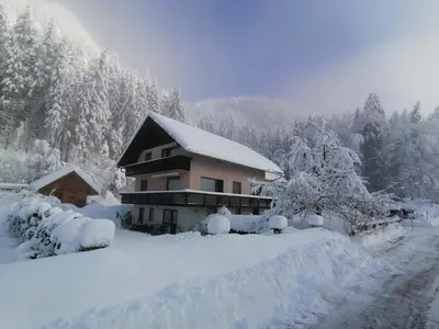 a house covered in snow next to a road at Apartments Mertelj in Kranjska Gora