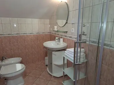 a bathroom with a sink and a toilet and a shower at Apartments Mertelj in Kranjska Gora