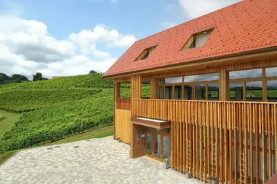 a house with a red roof on a hill at Vino Valdhuber Apartments in Svečina