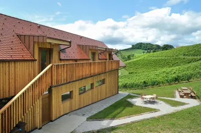 an external view of a wooden building with a patio at Vino Valdhuber Apartments in Svečina