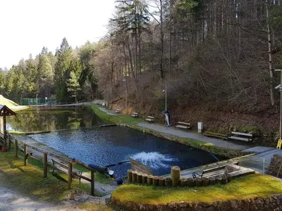 a pool of water with benches in a park at Glamping - Kamp Steska in Žalec