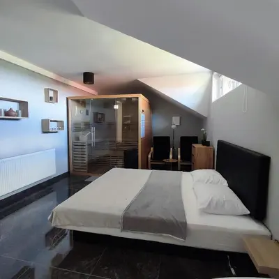 a bedroom with a large bed in a room at Guesthouse and Wellness VINEA in Spodnji Ivanjci