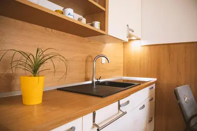 a kitchen with a sink and a potted plant at Sončni apartma in Bovec