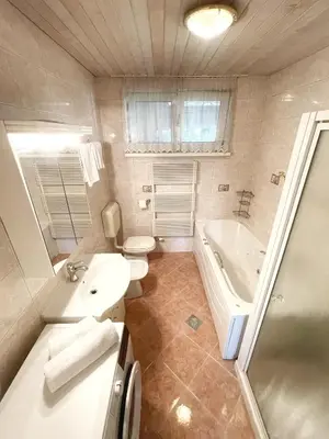 a bathroom with a sink and a toilet and a tub at Papas Apartment in Lesce