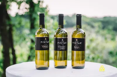 two bottles of wine sitting on a table at Valentina Guest House at Pintar Wine Estate in Kojsko