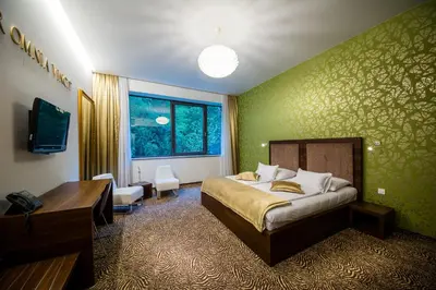 a hotel room with a bed and a desk and a television at Rimske Terme Resort - Hotel Rimski dvor in Rimske Toplice