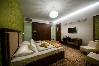 a bedroom with a bed and a desk and a television at Rimske Terme Resort - Hotel Rimski dvor in Rimske Toplice