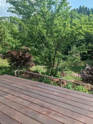 a wooden boardwalk in a garden with a tree at Riverview Lodge in Bohinj