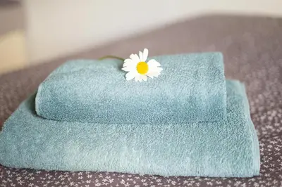a white flower sitting on top of a towel at View apartment Lenart in Bohinj