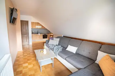a living room with a gray couch and a table at View apartment Lenart in Bohinj