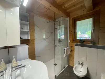 a bathroom with a shower and a toilet and a sink at Apartma Smithy (Kovačnica) in Laško