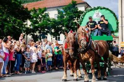 a group of people watching a parade with two horses at Apartma Smithy (Kovačnica) in Laško