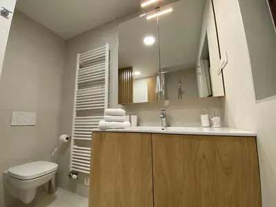 a bathroom with a sink and a toilet and a mirror at Lanima in Bled