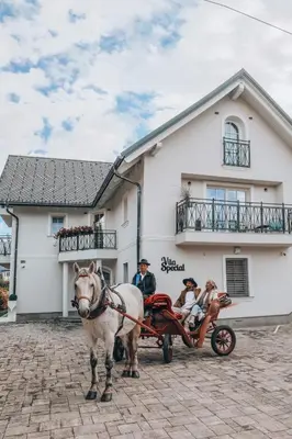 a group of people riding in a horse drawn carriage at Design & Wine Vila Special Bled in Bled