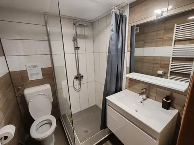 a bathroom with a shower and a toilet and a sink at Apartments Malivojevič in Žirovnica