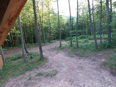 a dirt road in a wooded area with trees at Cowboy House at Ranch Lambergar in Gabrovka