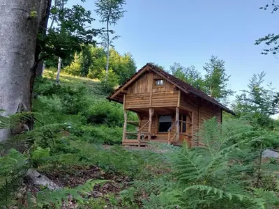 a small wooden cabin in the middle of a forest at Cowboy House at Ranch Lambergar in Gabrovka