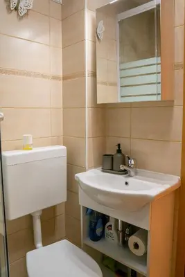 a bathroom with a sink and a toilet and a mirror at Small but cozy apartment in Maribor