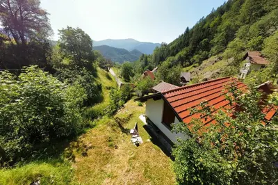 a dog sitting in the grass next to a house at At Peskar's a charming countryside house in Podbrdo