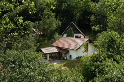 a small house in the middle of a forest at At Peskar's a charming countryside house in Podbrdo