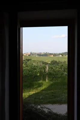 a view of a field from a window at Hiška pod Klumpo in Ormoz